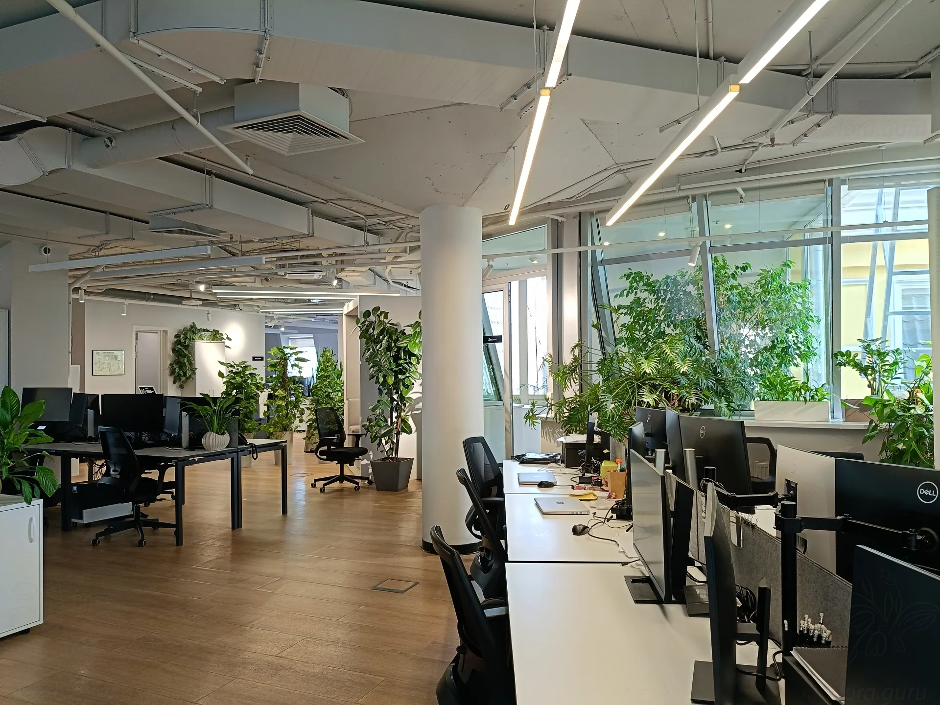 ������� ���� open space � ������� �������� � ���������� ����������� ����� VIP-������������