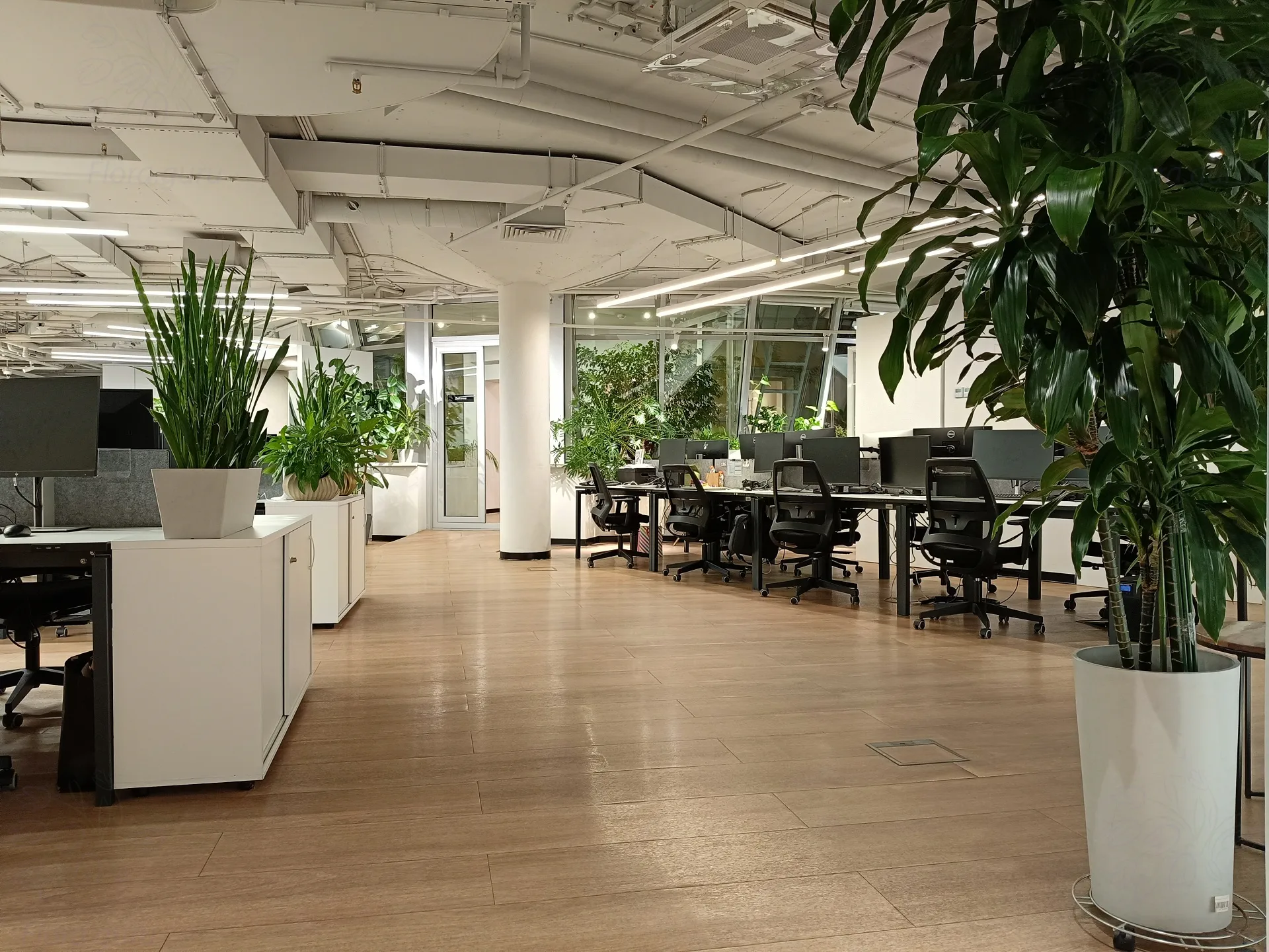 Open space 6-�� ����� �� ������� ����� � �������� ����� ����� ����������� � ������ �����